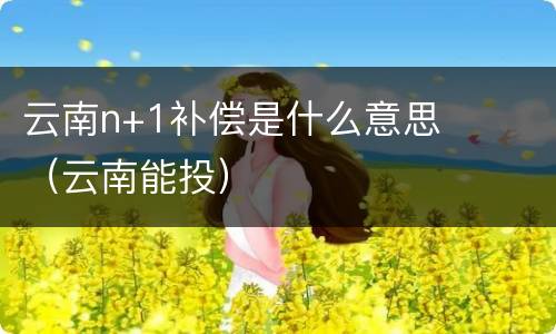 云南n+1补偿是什么意思（云南能投）