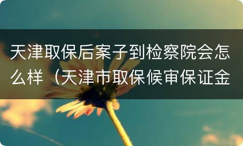 天津取保后案子到检察院会怎么样（天津市取保候审保证金是多少）