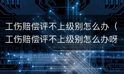 工伤赔偿评不上级别怎么办（工伤赔偿评不上级别怎么办呀）
