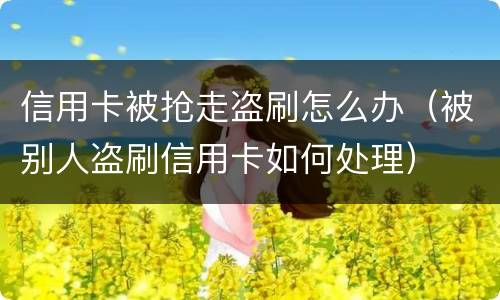 信用卡被抢走盗刷怎么办（被别人盗刷信用卡如何处理）