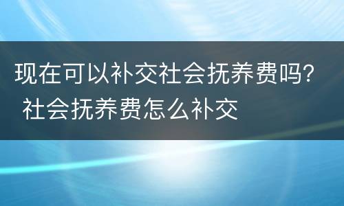 现在可以补交社会抚养费吗？ 社会抚养费怎么补交