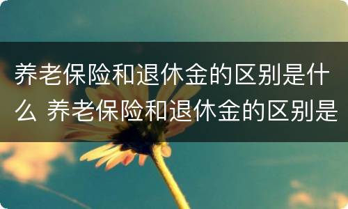 养老保险和退休金的区别是什么 养老保险和退休金的区别是什么意思