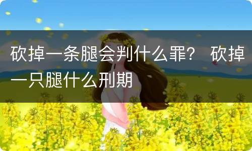 砍掉一条腿会判什么罪？ 砍掉一只腿什么刑期