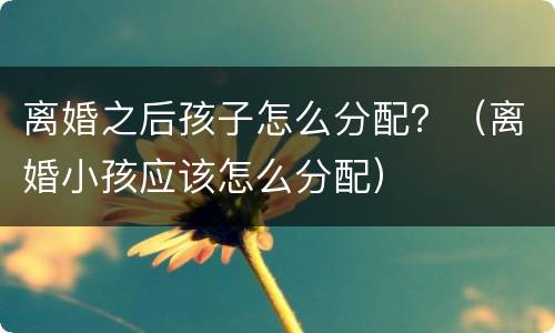 离婚之后孩子怎么分配？（离婚小孩应该怎么分配）