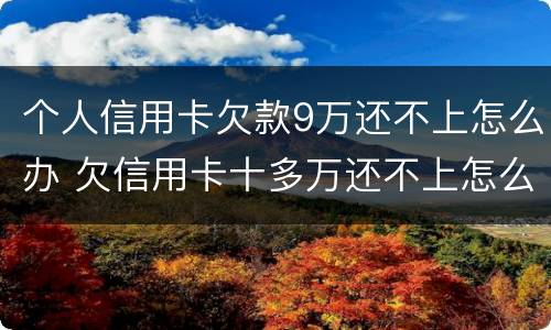 个人信用卡欠款9万还不上怎么办 欠信用卡十多万还不上怎么办