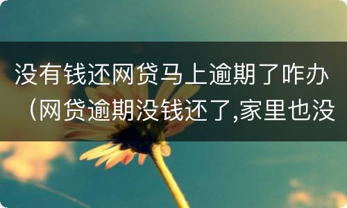 没有钱还网贷马上逾期了咋办（网贷逾期没钱还了,家里也没钱了怎么办）