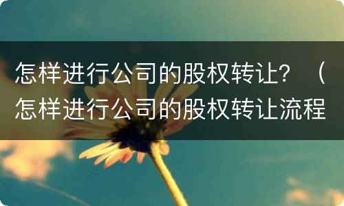 怎样进行公司的股权转让？（怎样进行公司的股权转让流程）