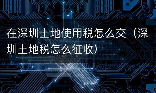 在深圳土地使用税怎么交（深圳土地税怎么征收）