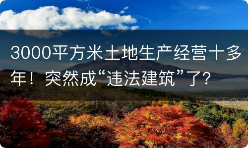 3000平方米土地生产经营十多年！突然成“违法建筑”了？