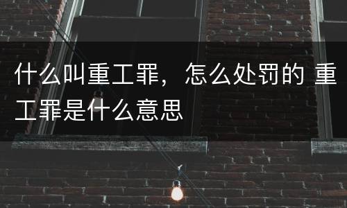什么叫重工罪，怎么处罚的 重工罪是什么意思