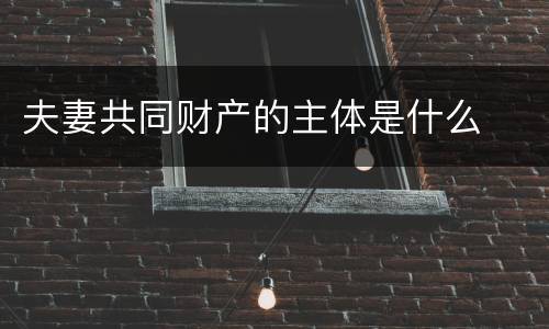 夫妻共同财产的主体是什么