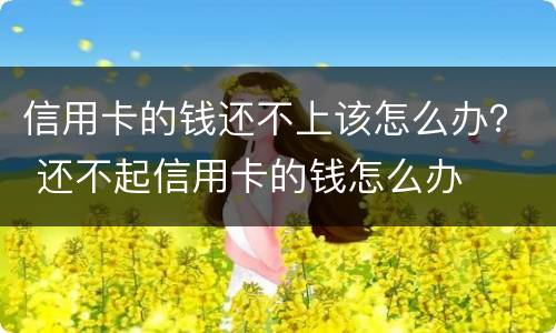 信用卡的钱还不上该怎么办？ 还不起信用卡的钱怎么办