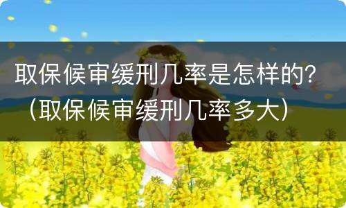 取保候审缓刑几率是怎样的？（取保候审缓刑几率多大）