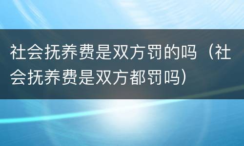 社会抚养费是双方罚的吗（社会抚养费是双方都罚吗）