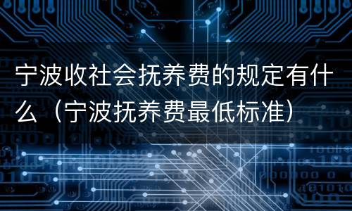 宁波收社会抚养费的规定有什么（宁波抚养费最低标准）