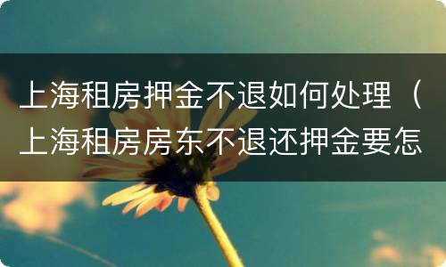 上海租房押金不退如何处理（上海租房房东不退还押金要怎么办呢）