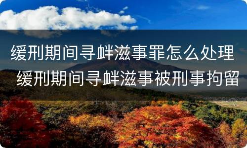 缓刑期间寻衅滋事罪怎么处理 缓刑期间寻衅滋事被刑事拘留会怎样