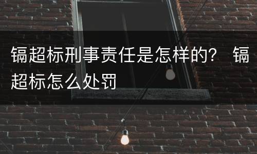 镉超标刑事责任是怎样的？ 镉超标怎么处罚