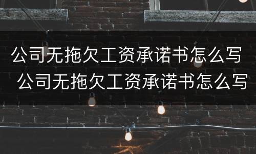 公司无拖欠工资承诺书怎么写 公司无拖欠工资承诺书怎么写的
