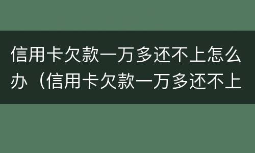 信用卡欠款一万多还不上怎么办（信用卡欠款一万多还不上怎么办呀）