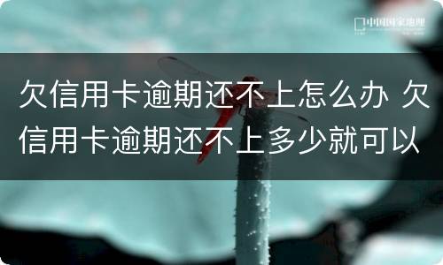 欠信用卡逾期还不上怎么办 欠信用卡逾期还不上多少就可以起诉了