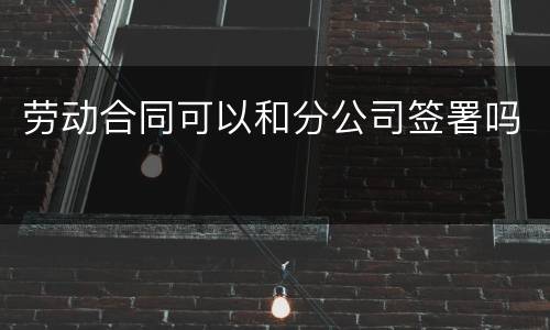 劳动合同可以和分公司签署吗