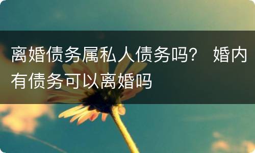离婚债务属私人债务吗？ 婚内有债务可以离婚吗