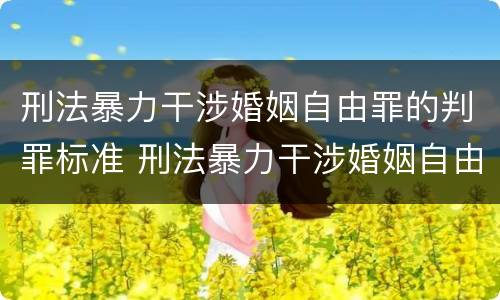 刑法暴力干涉婚姻自由罪的判罪标准 刑法暴力干涉婚姻自由罪的判罪标准是什么