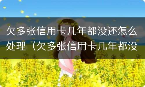 欠多张信用卡几年都没还怎么处理（欠多张信用卡几年都没还怎么处理呢）