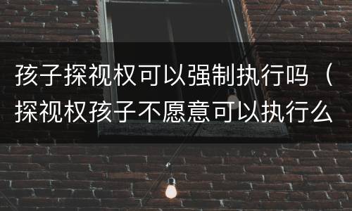 孩子探视权可以强制执行吗（探视权孩子不愿意可以执行么）
