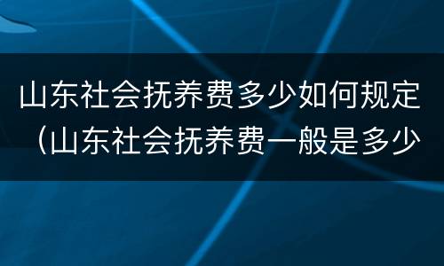 山东社会抚养费多少如何规定（山东社会抚养费一般是多少）