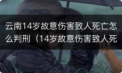 云南14岁故意伤害致人死亡怎么判刑（14岁故意伤害致人死亡 判决）