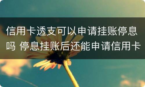 信用卡透支可以申请挂账停息吗 停息挂账后还能申请信用卡吗