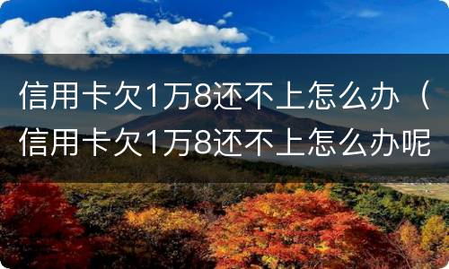 信用卡欠1万8还不上怎么办（信用卡欠1万8还不上怎么办呢）