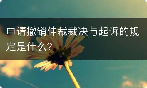 申请撤销仲裁裁决与起诉的规定是什么？