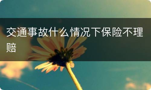 交通事故什么情况下保险不理赔