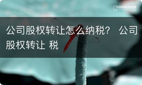 公司股权转让怎么纳税？ 公司股权转让 税