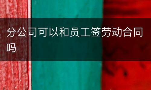 分公司可以和员工签劳动合同吗