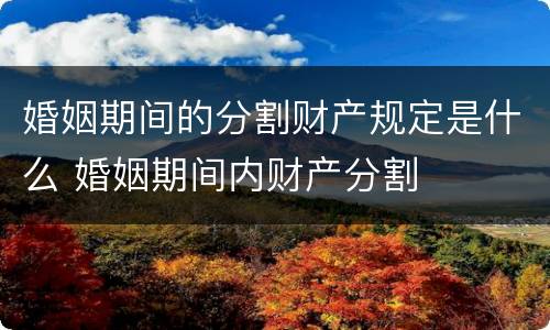 婚姻期间的分割财产规定是什么 婚姻期间内财产分割