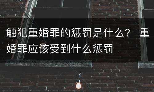 触犯重婚罪的惩罚是什么？ 重婚罪应该受到什么惩罚