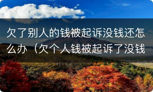 欠了别人的钱被起诉没钱还怎么办（欠个人钱被起诉了没钱还怎么办?）