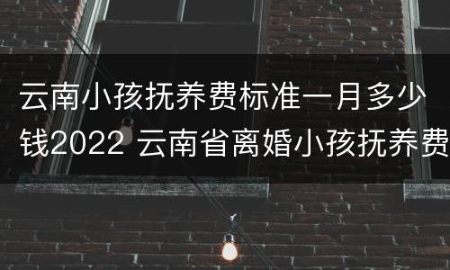 云南小孩抚养费标准一月多少钱2022 云南省离婚小孩抚养费怎么算