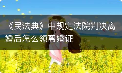 《民法典》中规定法院判决离婚后怎么领离婚证