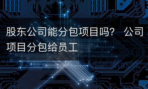 股东公司能分包项目吗？ 公司项目分包给员工
