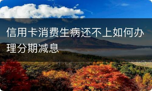 信用卡消费生病还不上如何办理分期减息