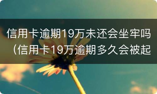 信用卡逾期19万未还会坐牢吗（信用卡19万逾期多久会被起诉）