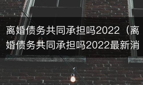 离婚债务共同承担吗2022（离婚债务共同承担吗2022最新消息）