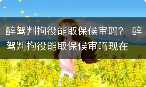 醉驾判拘役能取保候审吗？ 醉驾判拘役能取保候审吗现在