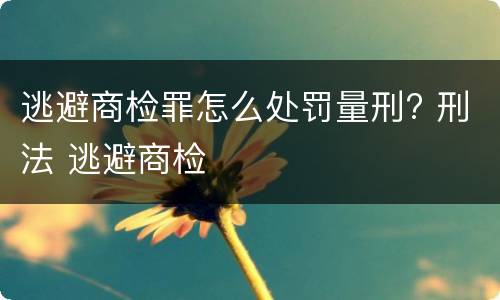 逃避商检罪怎么处罚量刑? 刑法 逃避商检