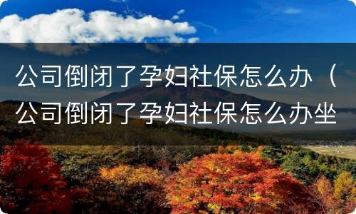 公司倒闭了孕妇社保怎么办（公司倒闭了孕妇社保怎么办坐标杭州）